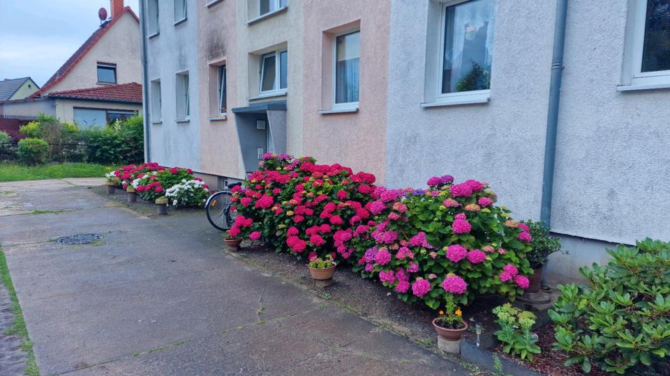 Hochparterre Fehrbellin - 3 Zimmer, 50 m&sup2;, 350&euro; | Angebot:24583501