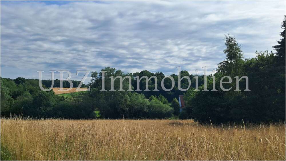 Haus zum Kaufen in Alzenau 560.000 € 178 m² 5 zimmer