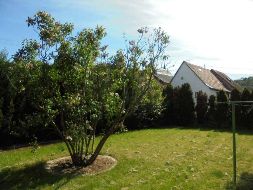 Wohnung zum Mieten in Monzingen 450 € 71 m²