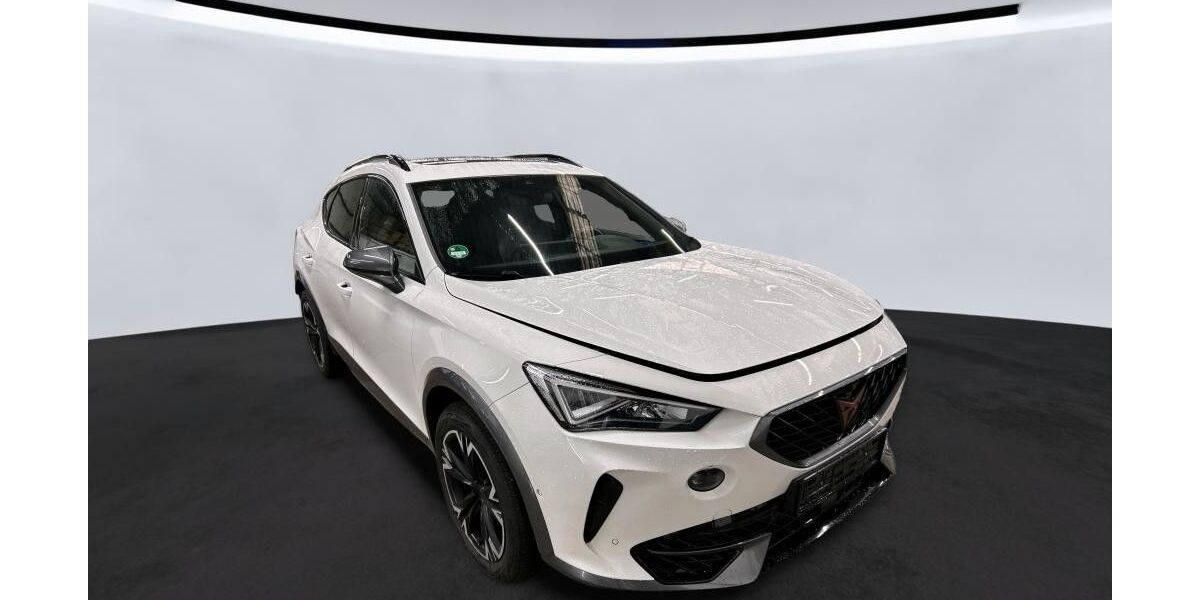 Cupra Formentor 71.800 km 21.999 &euro; Fulda 36043