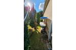 Bungalow Pinnow - 3 Zimmer, 38 m&sup2;, 42.500&euro; | Angebot:26419290
