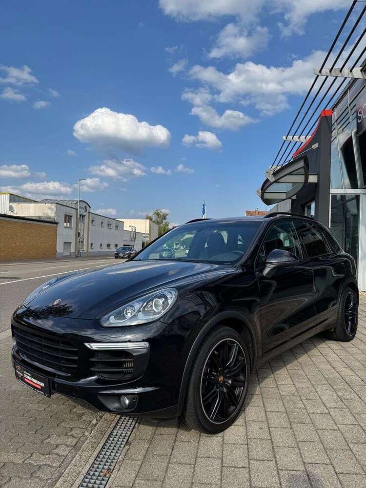 Cayenne