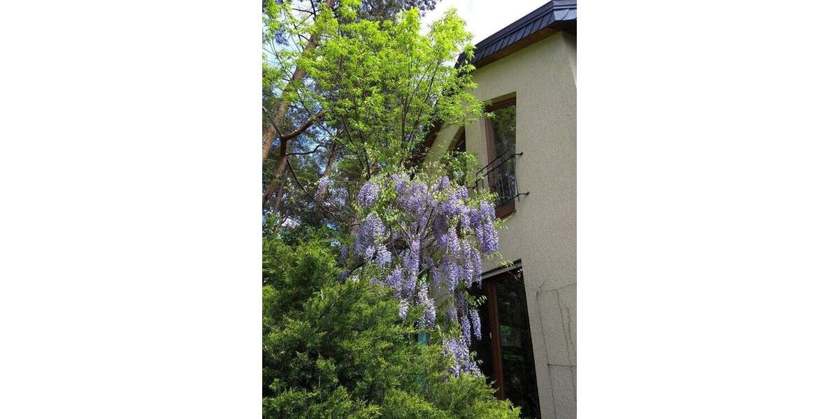 Einfamilienhaus Wildau - 8 Zimmer, 180 m&sup2;, 690.000&euro; | Angebot:25659220