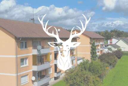 Wohnung Laufenburg - 3.5 Zimmer, 91 m&sup2;, 249.000&euro; | Angebot:26090340