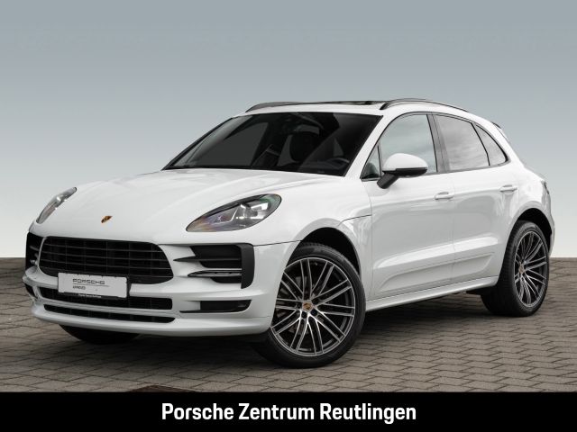 Macan