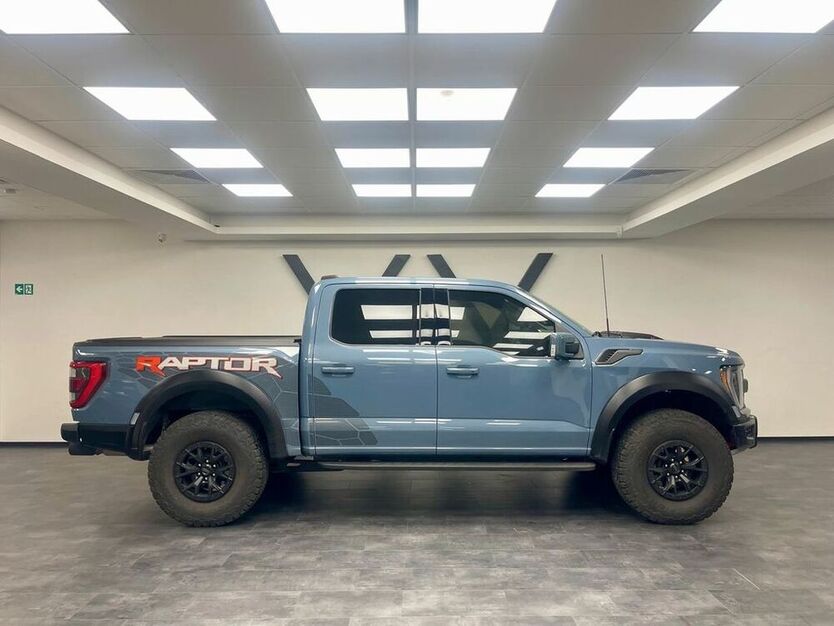 Raptor