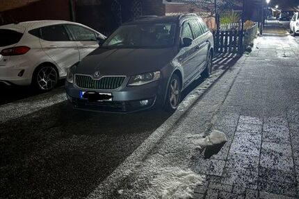 Skoda Octavia 148.000 km 12.900 &euro; Celle 29227