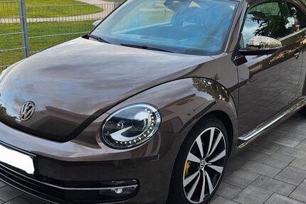 VW Beetle