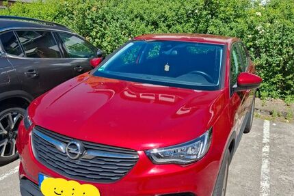 Opel Grandland (X) 110.000 km 15.499 &euro; Taunusstein 65232