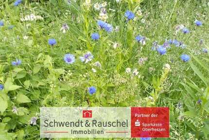 Grundstück Schotten - 48.000&euro; | Angebot:23996227