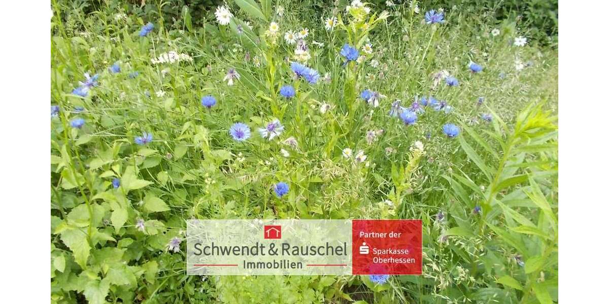 Grundstück Schotten - 48.000&euro; | Angebot:23996227