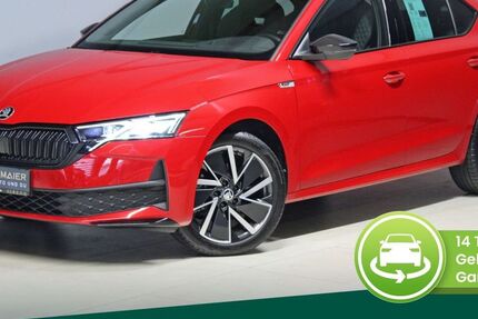 Skoda Octavia 16.366 km 32.590 &euro; Eching i. Ndb. 84174