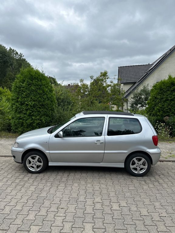 Polo