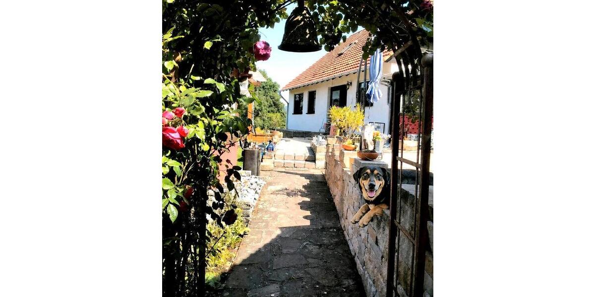 Einfamilienhaus Bad Karlshafen - 12 Zimmer, 210 m&sup2;, 285.000&euro; | Angebot:27127040