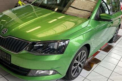 Skoda Fabia 244.150 km 4.950 € Boffzen 37691