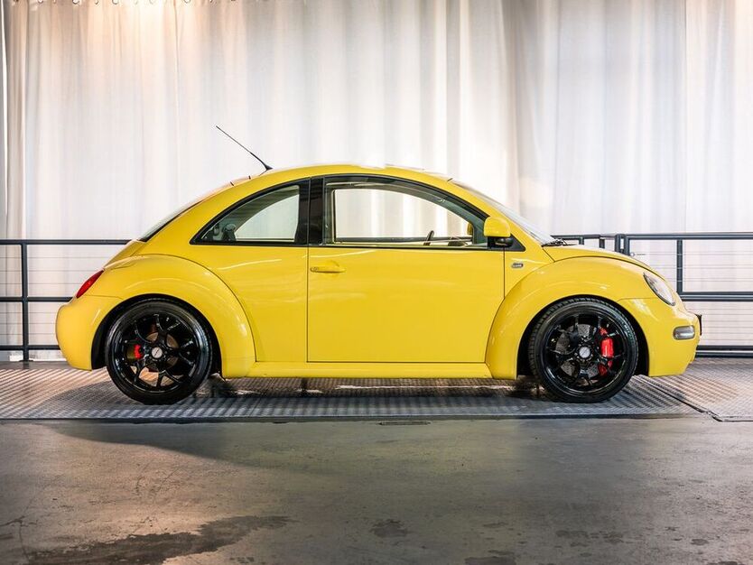 Beetle