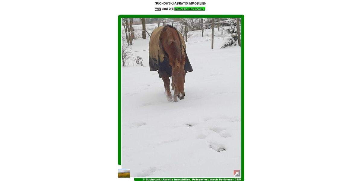 Mehrfamilienhaus, Wohnhaus Bad Belzig - 3 Zimmer, 110 m&sup2;, 250.000&euro; | Angebot:24565867