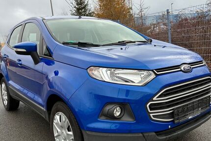 Ford EcoSport 220.000 km 3.999 &euro; Rehau 95111