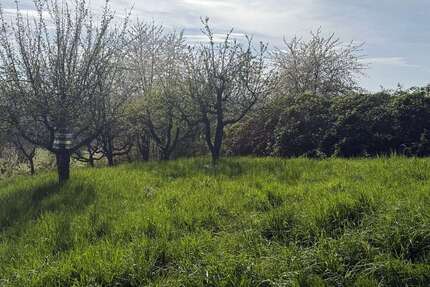 Grundstück Esslingen am Neckar - 6.900&euro; | Angebot:26182431