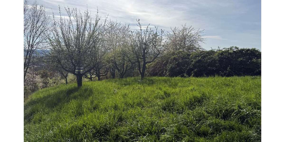 Grundstück Esslingen am Neckar - 6.900&euro; | Angebot:26182431