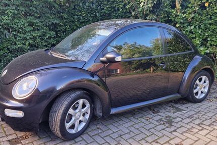 VW New Beetle 266.000 km 2.300 &euro; Goldenstedt 49424