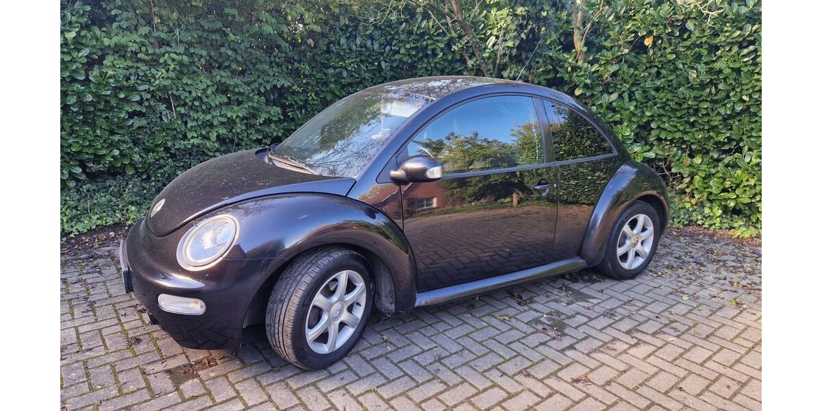 VW New Beetle 266.000 km 2.300 &euro; Goldenstedt 49424