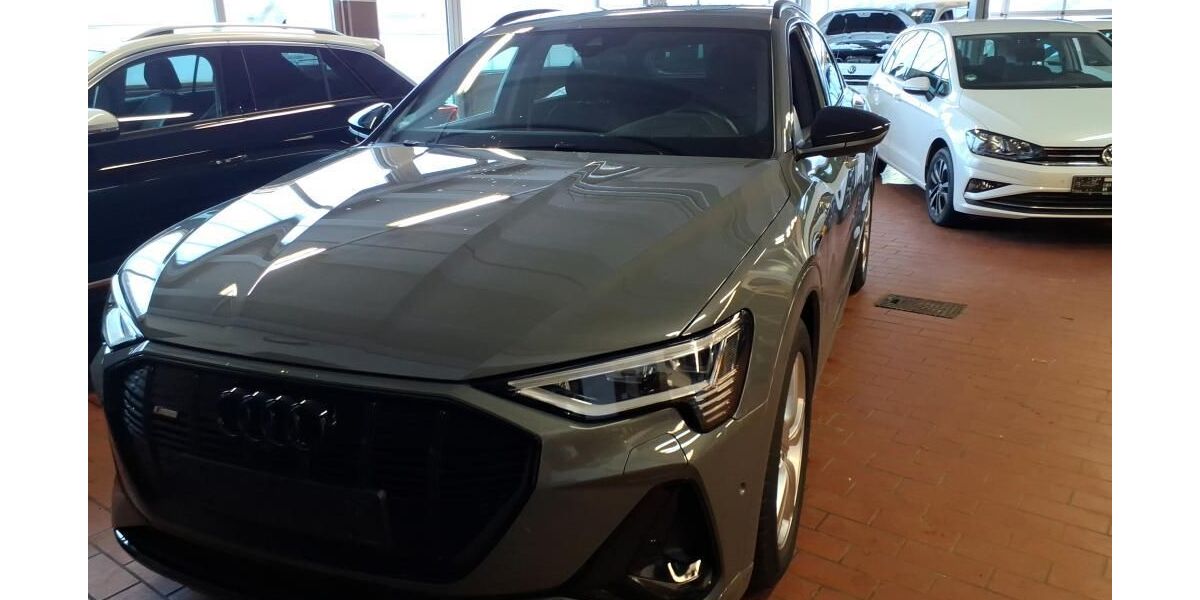 Audi e-tron 56.101 km 39.950 &euro; Hamburg 22047