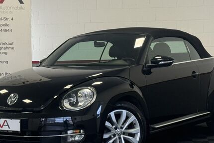 VW Beetle 131.250 km 10.480 &euro; Spelle 48480