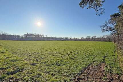 Grundstück Hamminkeln - 317.000&euro; | Angebot:24591383