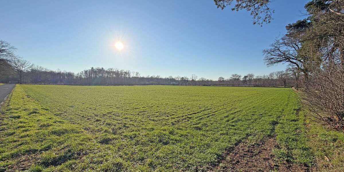 Grundstück Hamminkeln - 317.000&euro; | Angebot:24591383