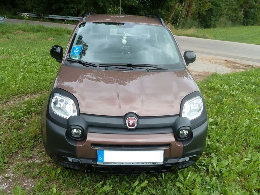 Panda