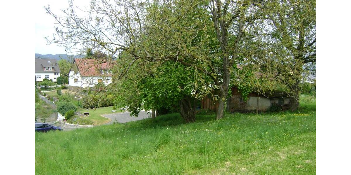 Mehrfamilienhaus, Wohnhaus Mörlenbach - 13 Zimmer, 244 m&sup2;, 698.000&euro; | Angebot:25171657