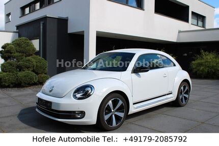 VW Beetle 22.100 km 15.950 € Heiningen 73092