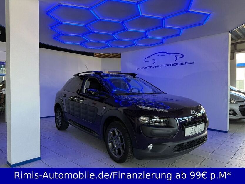 C4 Cactus