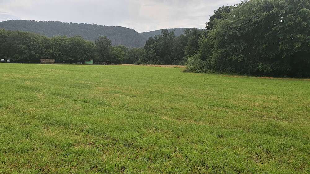 Grundstück zu verkaufen in Waldeck Halbinsel Scheid 159.970 € 941 m² zimmer