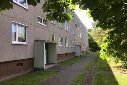 Eine perfekte 2-Zimmer-Wohnung in grüner Wohnlage