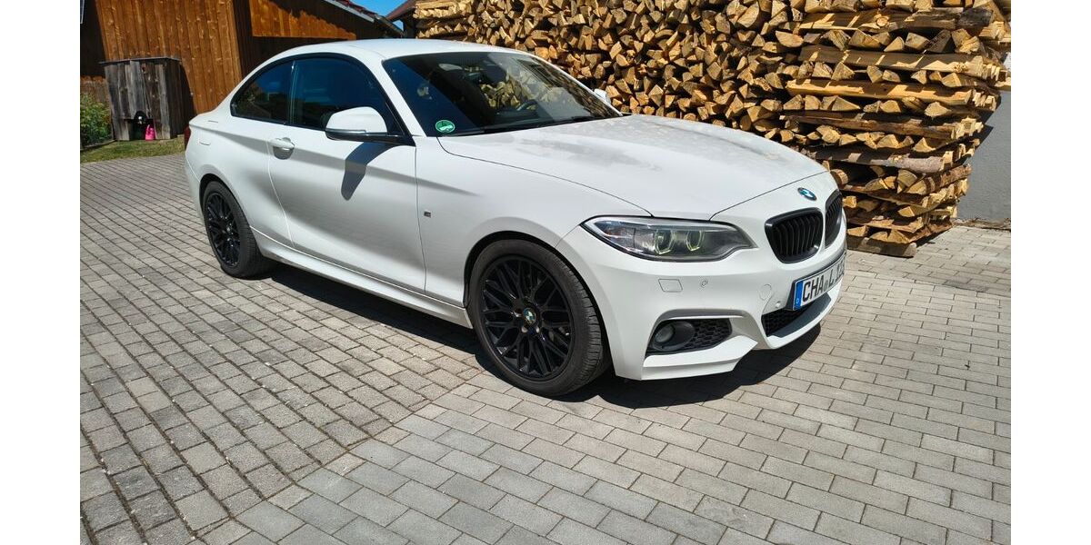 BMW 220 160.000 km 17.000 &euro; Reichenbach 93189
