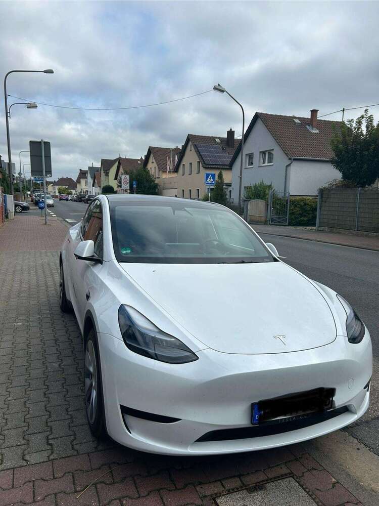Model Y