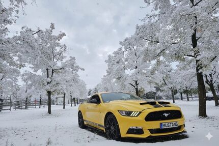 Ford Mustang 98.000 km 16.700 &euro; München 80937