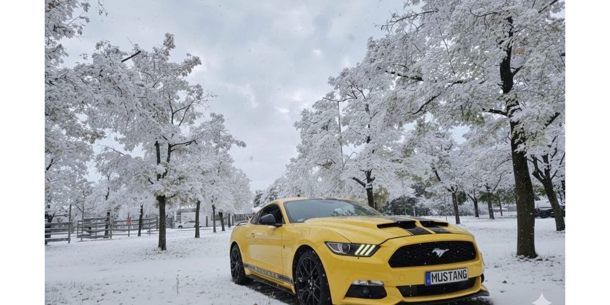 Ford Mustang 98.000 km 18.000 &euro; München 80937