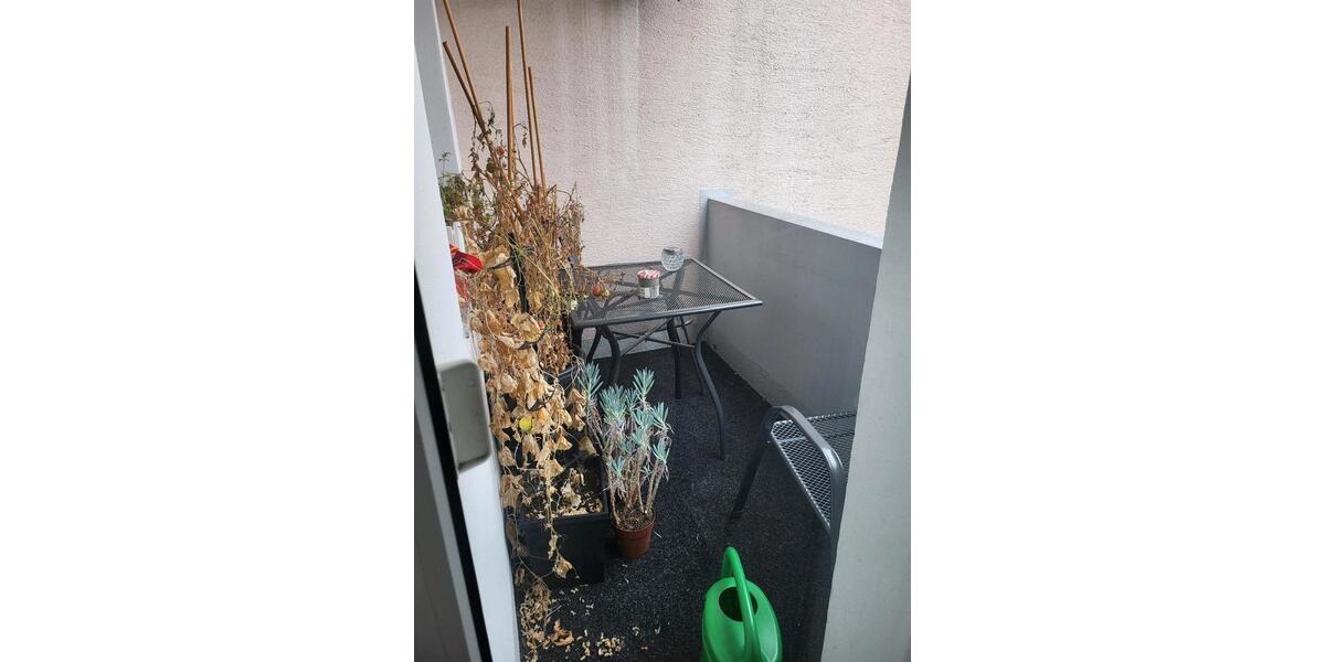 Wohnung 65 qm 3 zimmer