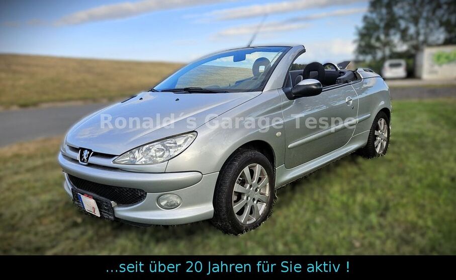 Peugeot 206 167.700 km 850 € Tespe 21395