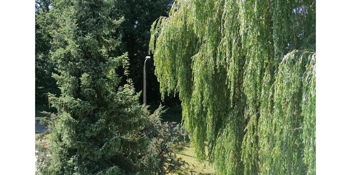 Etagenwohnung Wittstock/Dosse Dosse - 4 Zimmer, 76 m&sup2;, 427&euro; | Angebot:24832407