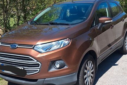 Ford EcoSport 120.745 km 8.800 € Zandt 93499