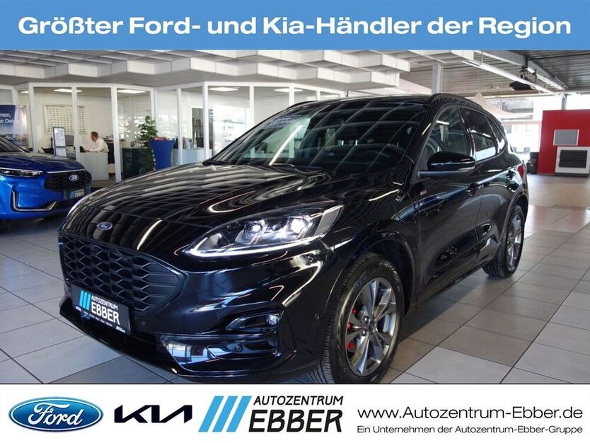 Kuga