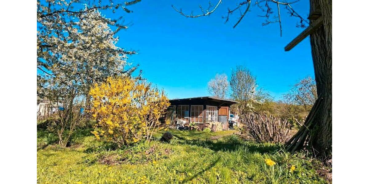 Grundstück Neustrelitz - 5.500&euro; | Angebot:26397507