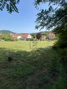 FLEXIBEL BAUEN, TOLLE GRÖSSE, GUTE LAGE - Grundstück Beckingen | Angebot:26373700