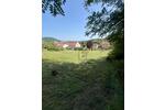 FLEXIBEL BAUEN, TOLLE GRÖSSE, GUTE LAGE - Grundstück Beckingen | Angebot:26373700