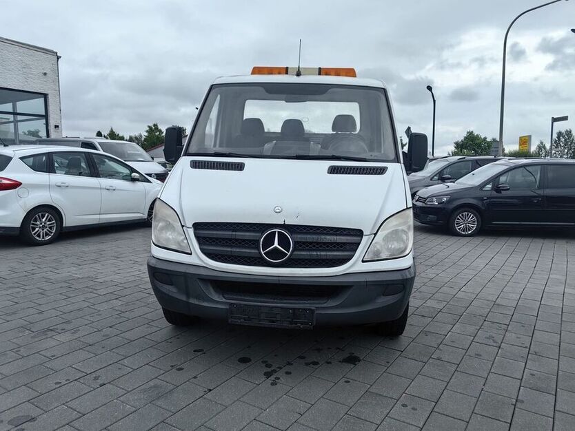 Sprinter