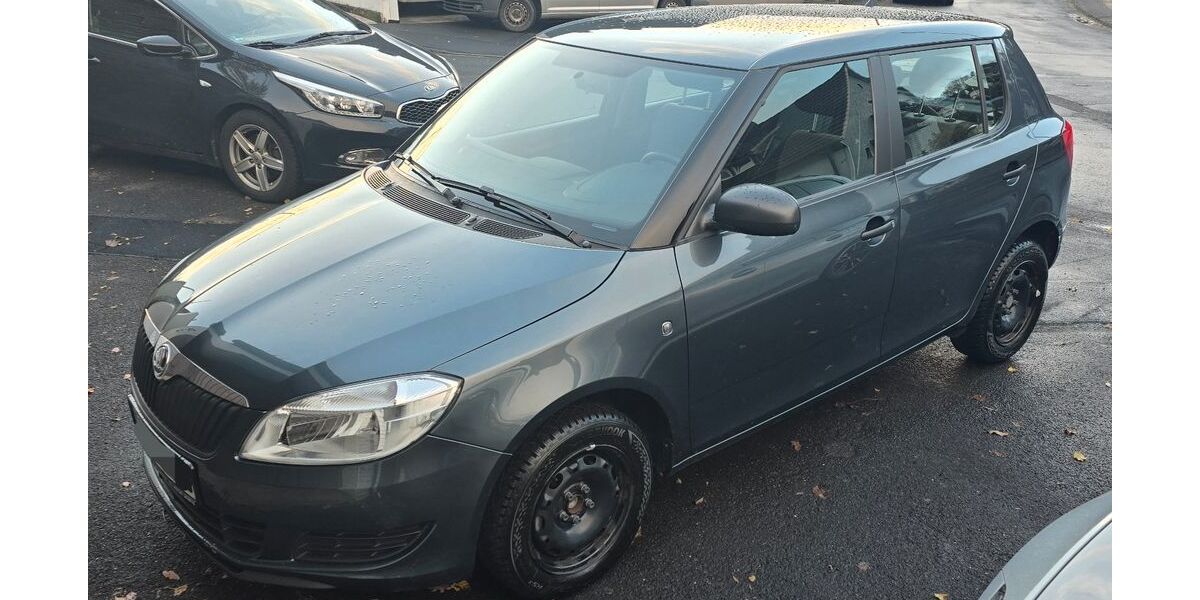 Skoda Fabia 51.000 km 6.990 &euro; Burbach 57299